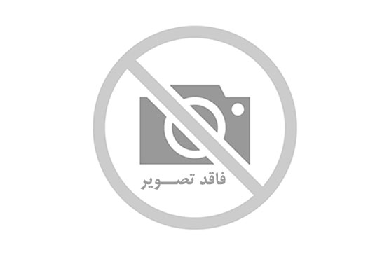 نامداری صفحه اینستاگرام خود را بست‌+عکس