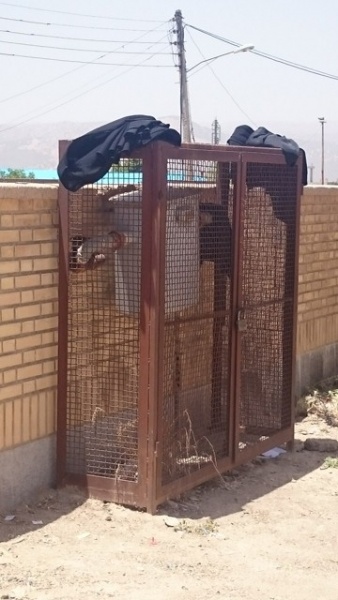 چادری‌ها حق ورود به آزمون سراسری را ندارند!+تصاویر