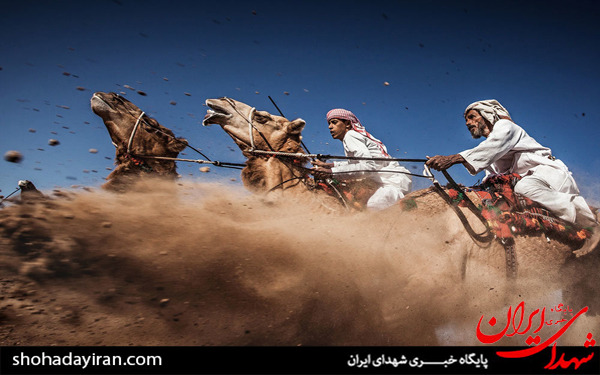 عکس/برندگان مسابقه نشنال جئوگرافیک