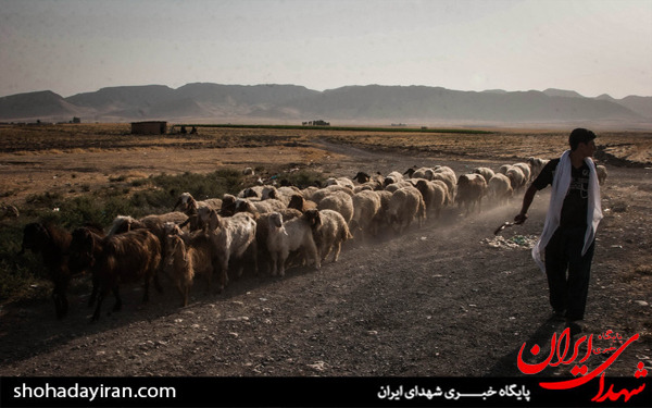 عکس/فعالان گروه جهادی قرارگاه امام رضا(ع) و یاران خراسانی