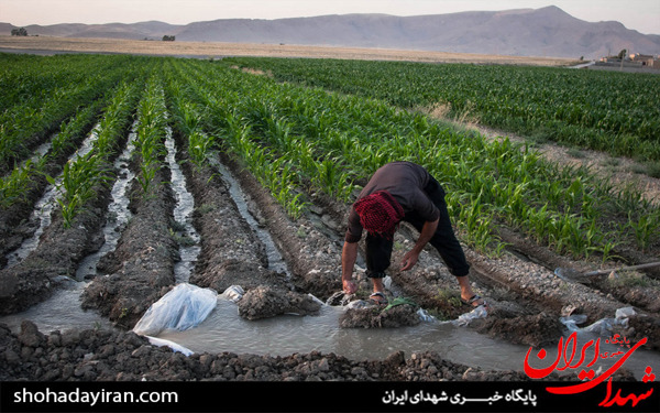 عکس/فعالان گروه جهادی قرارگاه امام رضا(ع) و یاران خراسانی