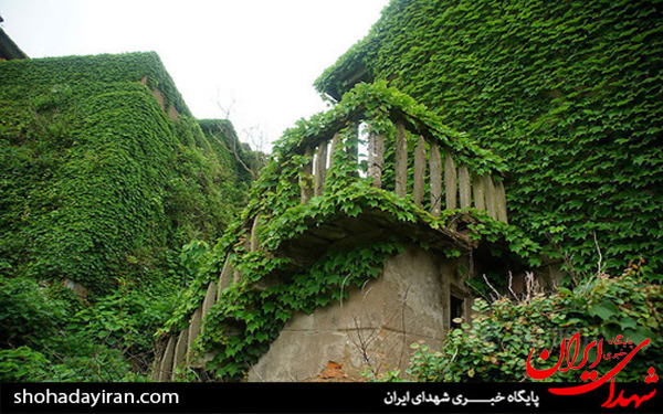 عکس/روستای که پس از ترک صاحبانش به باغ زیبا تبدیل شد