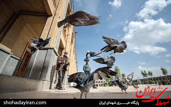 عکس/آستان مقدس حضرت احمد بن موسی(ع) شاهچراغ - شیراز