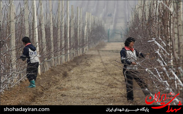 عکس/نماهایی از کره شمالی