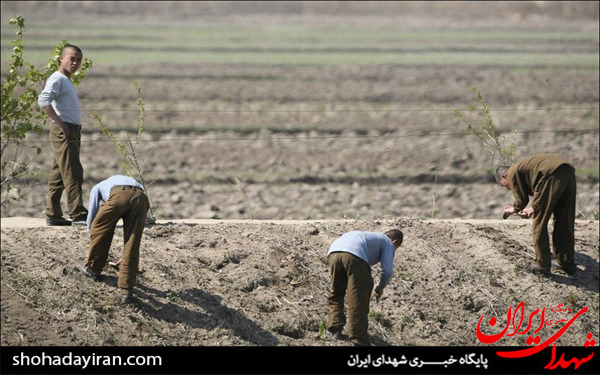 عکس/نماهایی از کره شمالی