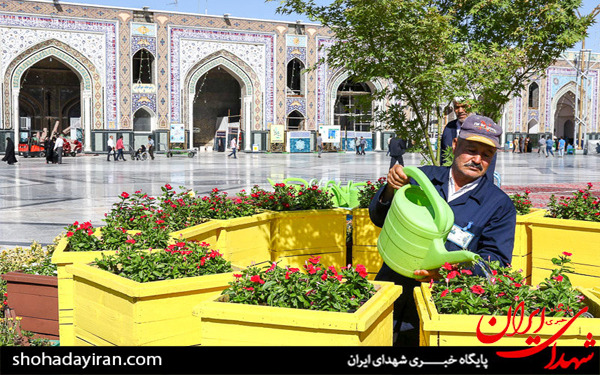 عکس/آماده سازی حرم مطهر رضوی در آستانه میلاد امام رضا (ع)