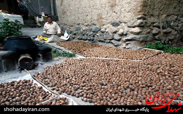 عکس/روستاهای استان البرز