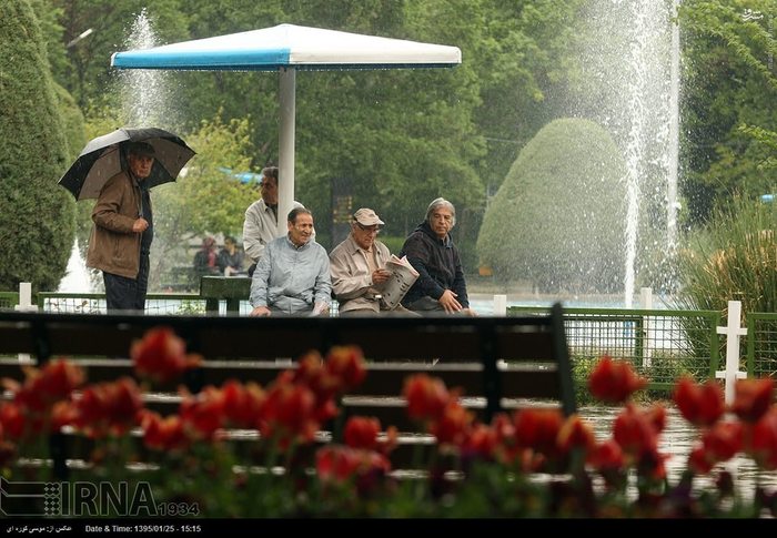 عکس/ باران بهاری در تهران