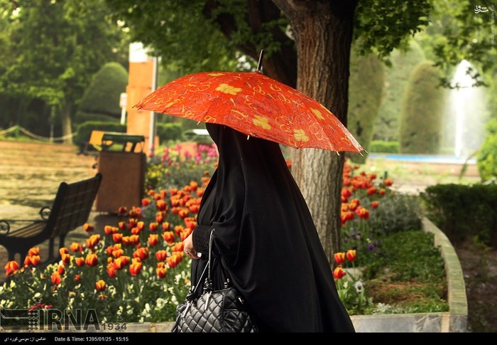 عکس/ باران بهاری در تهران