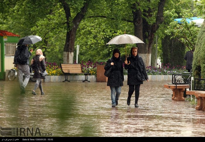 عکس/ باران بهاری در تهران