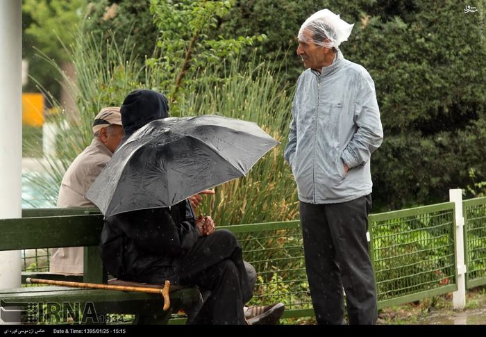 عکس/ باران بهاری در تهران