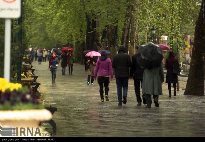 عکس/ باران بهاری در تهران