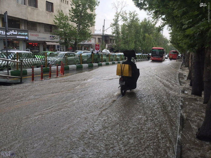 عکس/ جاری شدن سیلاب در خیابان ولی‌عصر علیه السلام