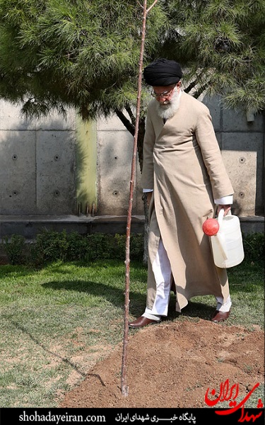 عکس/ کاشت دواصله نهال میوه توسط رهبر انقلاب اسلامی