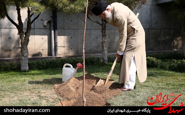 عکس/ کاشت دواصله نهال میوه توسط رهبر انقلاب اسلامی