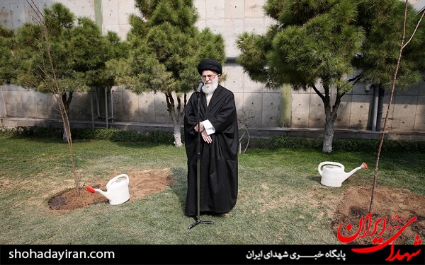عکس/ کاشت دواصله نهال میوه توسط رهبر انقلاب اسلامی