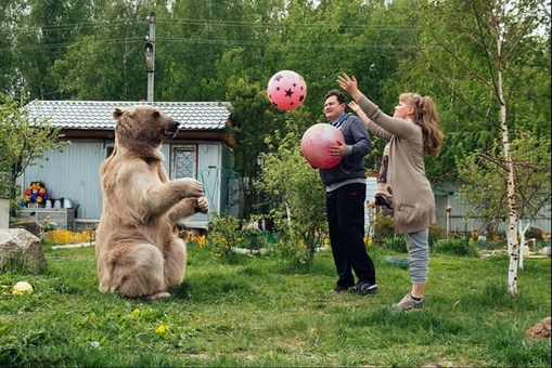 زندگی زوج روسی با یک خرس +عکس