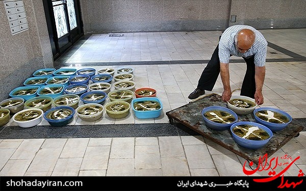 عکس/ سفره افطار برای رهگذران