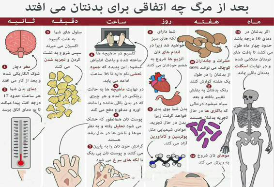 بعد از مرگ چه اتفاقی برایتان می‌افتد؟ +عکس