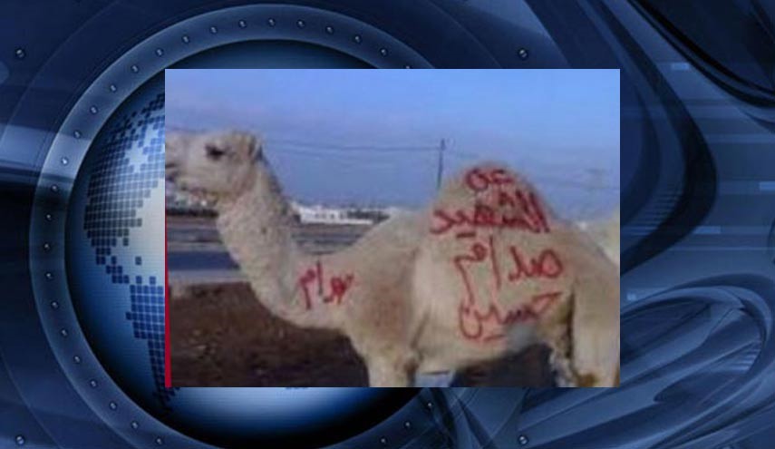 قربانی کردن شتر برای صدام در اردن!+عکس