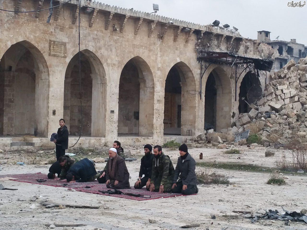 اولين نماز جماعت در مسجد اموی حلب+عکس