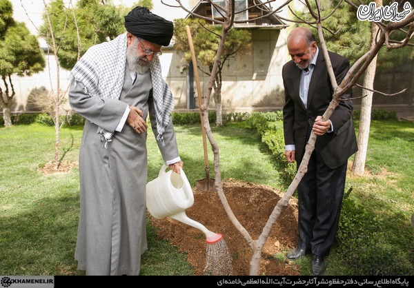 عکس / کاشت نهال در هفته منابع طبیعی توسط رهبر معظم انقلاب اسلامی