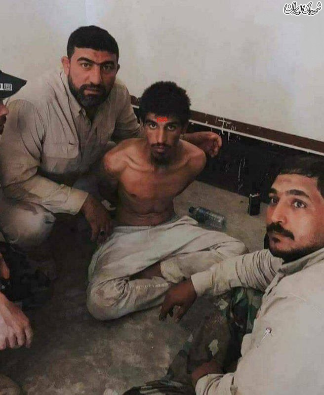 دستگیری تروریست داعشی در تلعفر/ عکس
