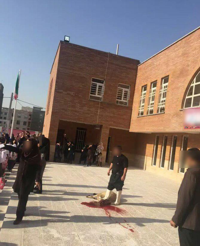 عجیب ترین استقبال از مهر در یک مدرسه! + عکس