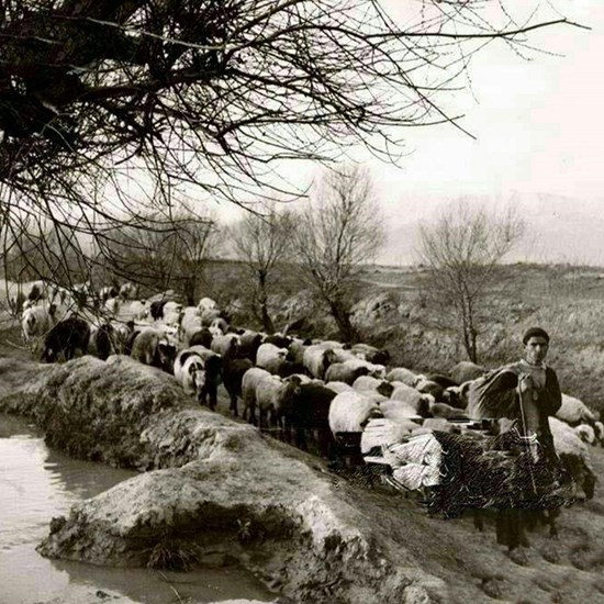 تصویری از بلوار کشاورز در 100 سال قبل + عکس