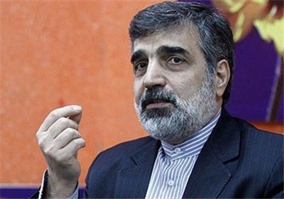 کمالوندی:مهلت دوماهه ایران در برجام قابل تمدید نیست