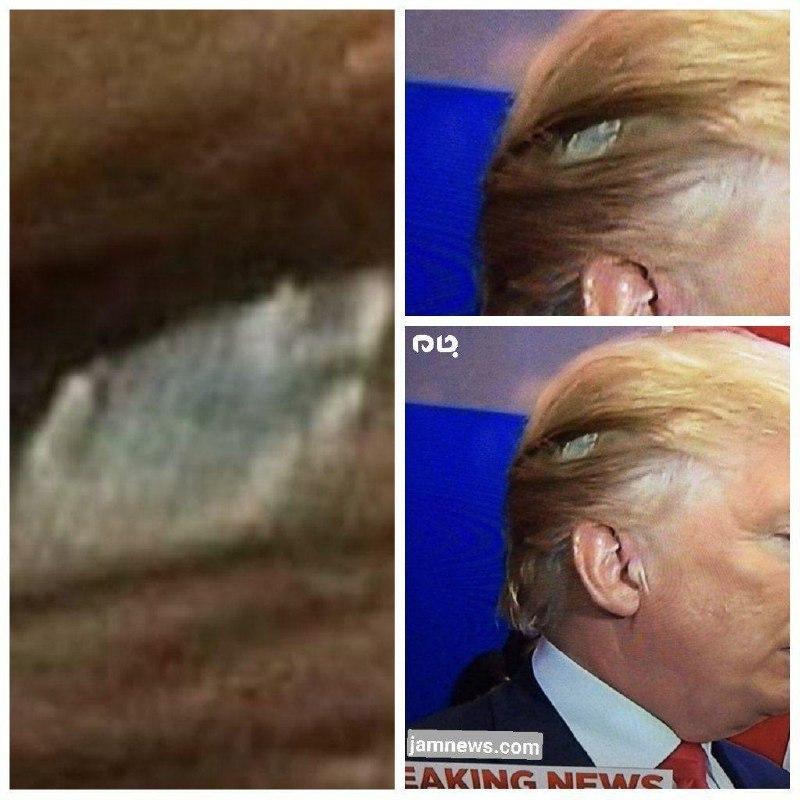 جنجال وجود شیء عجیب بین مو‌های ترامپ در مناظره +عکس
