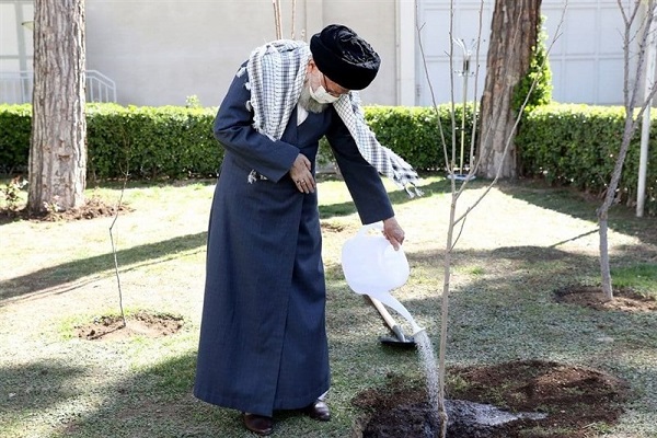 کاشت نهال توسط رهبر انقلاب به‌مناسبت روز درختکاری