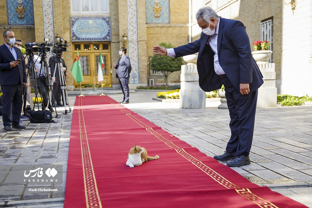 عکس/ مهمان متفاوت در فرش قرمز وزارت خارجه