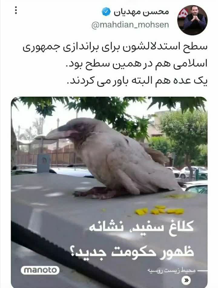 کلاغ سفید، شاخص ارزیابی شعور براندازان!