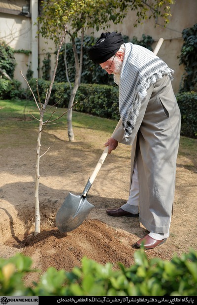 کاشت نهال در روز درختکاری