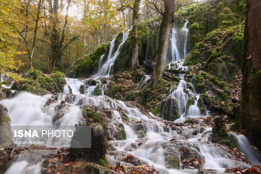 تصاویر زیبایی‌های خیره‌کننده جنگل‌های هیرکانی