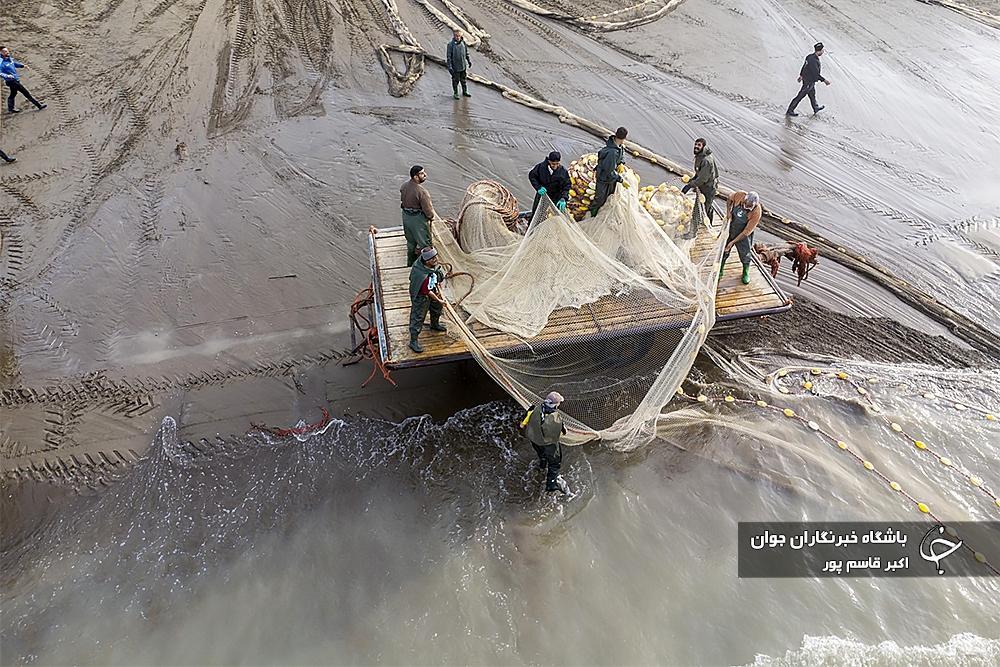 عکس/ اینان روزی خود را از دریا می‌گیرند