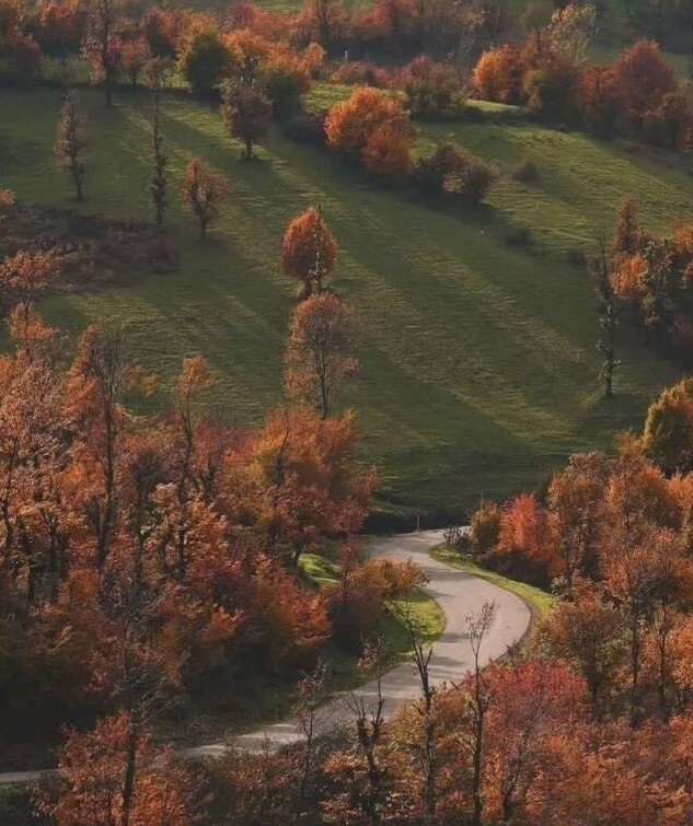 عکس/ نمای پاییزی ارتفاعات پلنگ‌دره گیلان