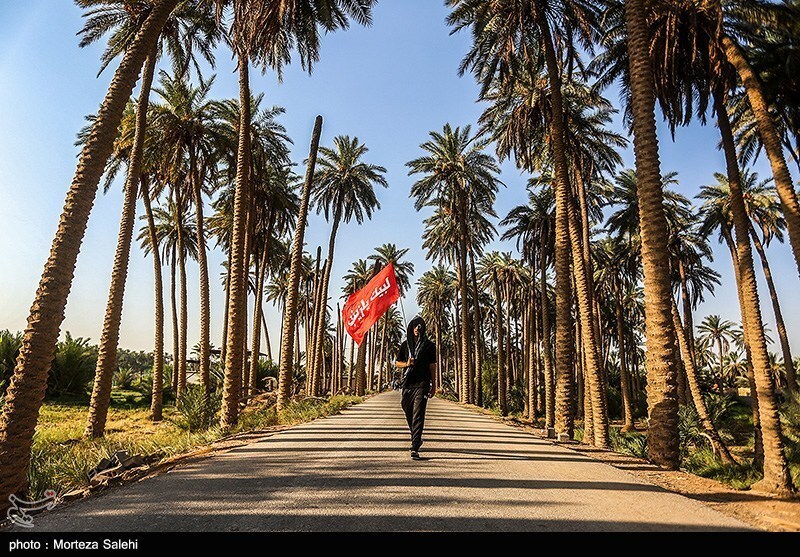 پیاده روی زائرین اربعین حسینی از طریق العلما