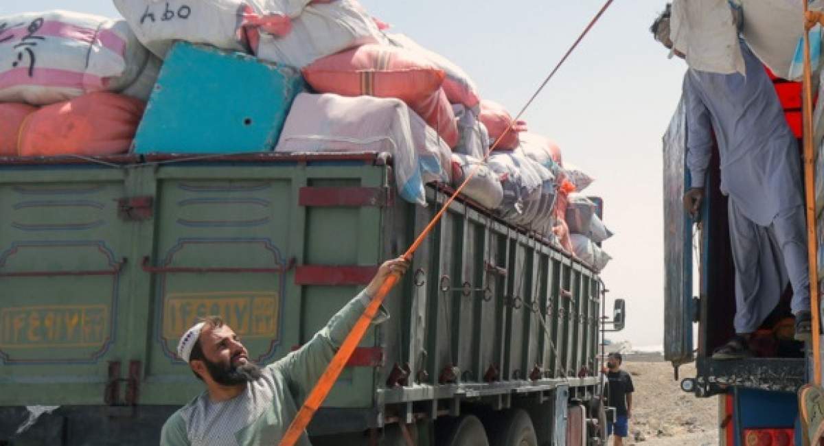 چند تبعه غیرمجاز در دولت چهاردهم از کشور خارج شدند؟