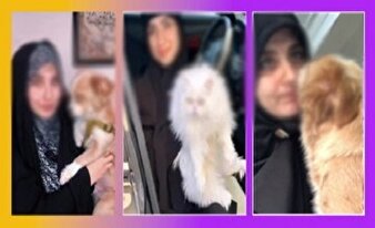 نگهداری سگ در کنار حجاب؟/ سبک زندگی جدید یا فرمولی برای جذب لایک؟!