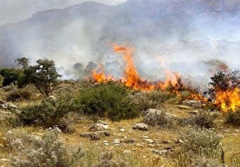 بحران در جنگل‌های ایران/ 46هزار ‌هکتار ‌اراضی ملی، مرتعی و جنگلی‌ در آتش سوخت