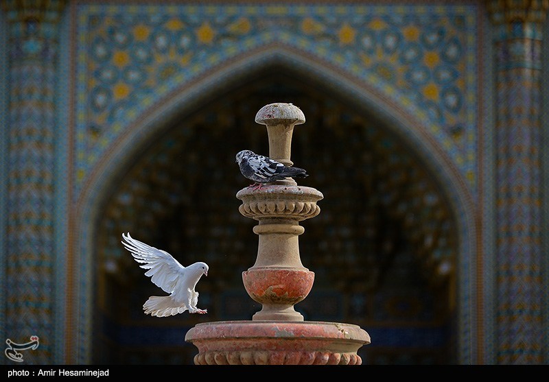 بمناسبت ولادت حضرت معصومه (س) بمناسبت ولادت حضرت معصومه (س)