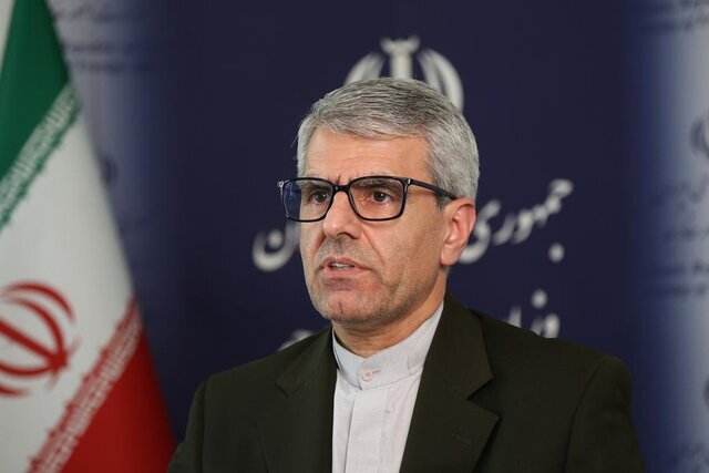 بقائی: ایران ثابت کرده قدرتی مسئولیت‌پذیر اما قلدرستیز است