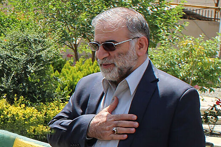 دانشمندی که مرگ سالها دنبالش بود/ سردستهای برای رؤیای علمی ایران دانشمندی که مرگ سالها دنبالش بود/ سردستهای برای رؤیای علمی ایران